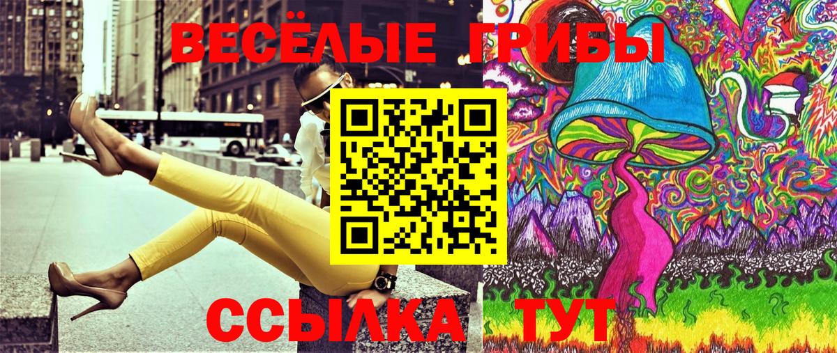 купить  сайты  Вход с VPN  Отрадное  Галлюциногенные грибы Psilocybine cubensis 